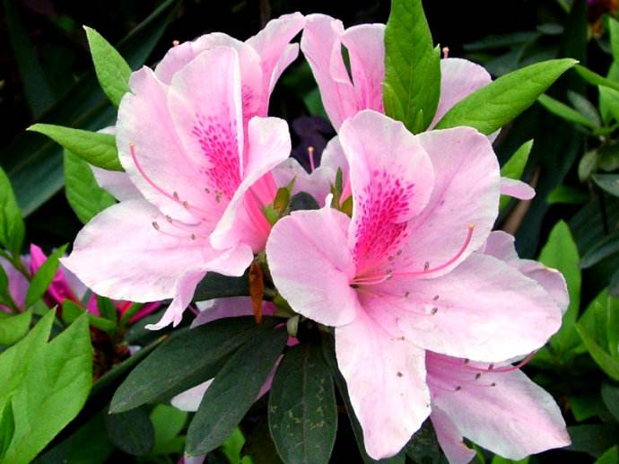 žͶž ʵѧĵͲɵɵֲ