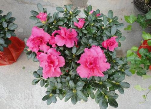 žͶž ʵѧĵͲɵɵֲ