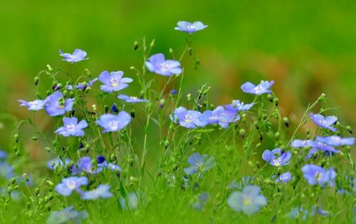 Ļʹ˵ʲô ԭ黹Ĵ˵