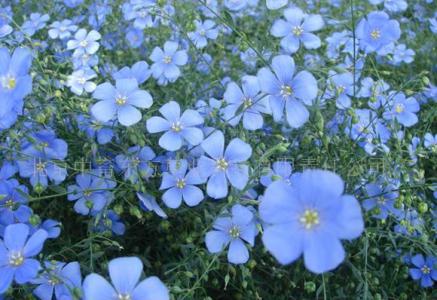 ¹�е����Է�����ϸ���� ��ô��¹�������������