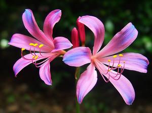 ��������¹�е�������ʲô ԭ����������¹��������ô��Ĳ�ͬ