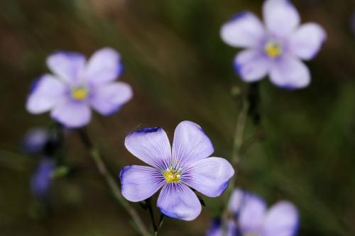 ��������¹�е�������ʲô ԭ����������¹��������ô��Ĳ�ͬ