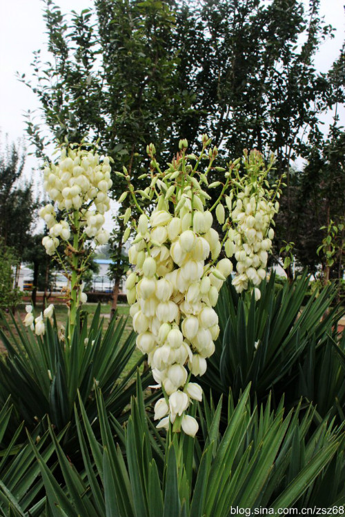 ��β���ж����������û�к�����β����������Ҫ��������