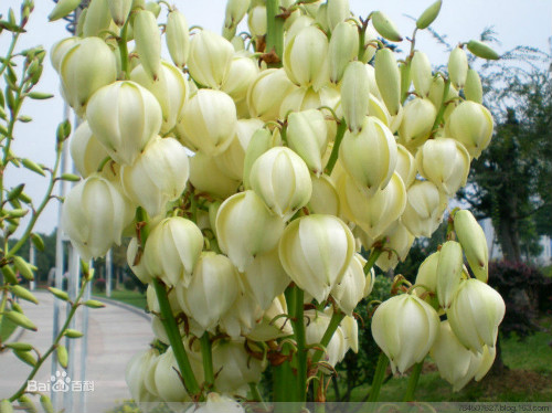 ��β���ж����������û�к�����β����������Ҫ��������