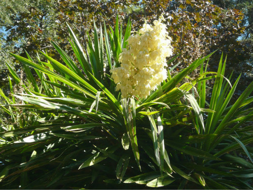 ��β���ж����������û�к�����β����������Ҫ��������