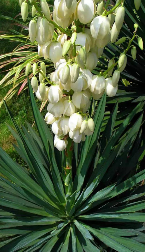 ��β���ж����������û�к�����β����������Ҫ��������