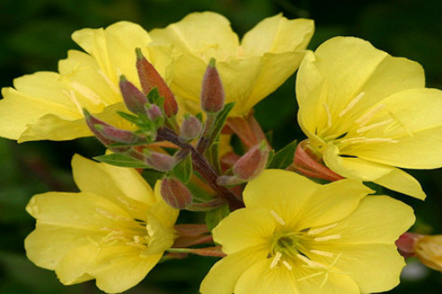 ¼ôúã⼸¼ԽԽïʢ