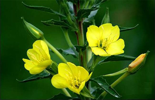 ¼ôúã⼸¼ԽԽïʢ