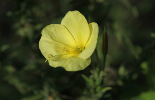 ¼ôúã⼸¼ԽԽïʢ