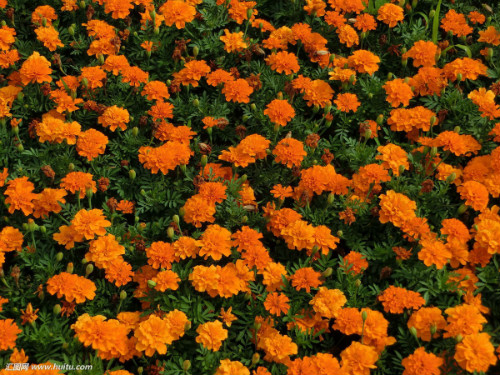 ���پ��ж�����Է��������� �������پ�Ҫע����Щ����