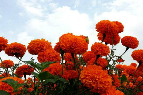 ���پ��ж�����Է��������� �������پ�Ҫע����Щ����