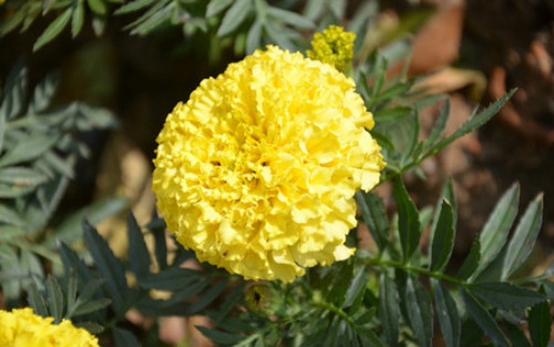 ���پ��ж�����Է��������� �������پ�Ҫע����Щ����