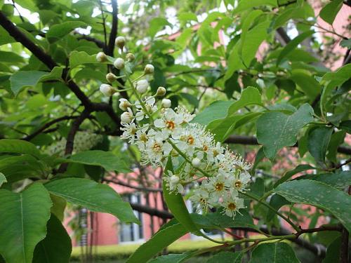 ����ַ�ֳ��������ô���� ��ô���������ѧ������