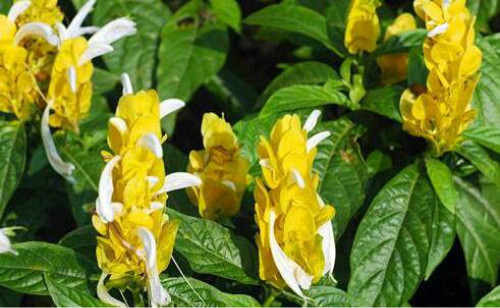 ������ж��������������� ���������ע���������