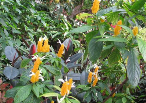 ������ж��������������� ���������ע���������