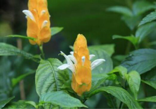 ������ж��������������� ���������ע���������