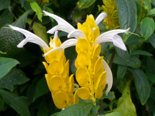 �������ʲô���� û�뵽������ĺô����治��