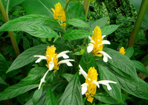 �������ʲô���� û�뵽������ĺô����治��