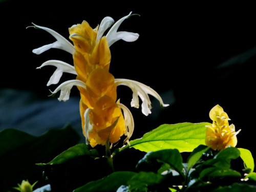 �������ʲô���� û�뵽������ĺô����治��