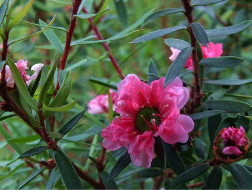 �ɺ�÷��ôʩ�� �ɺ�÷��ͬʱ�ڵ�ʩ�ʷ�������