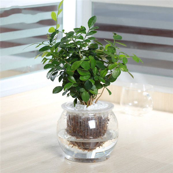 ���������ˮ���� ˮ�������ķ���С����������