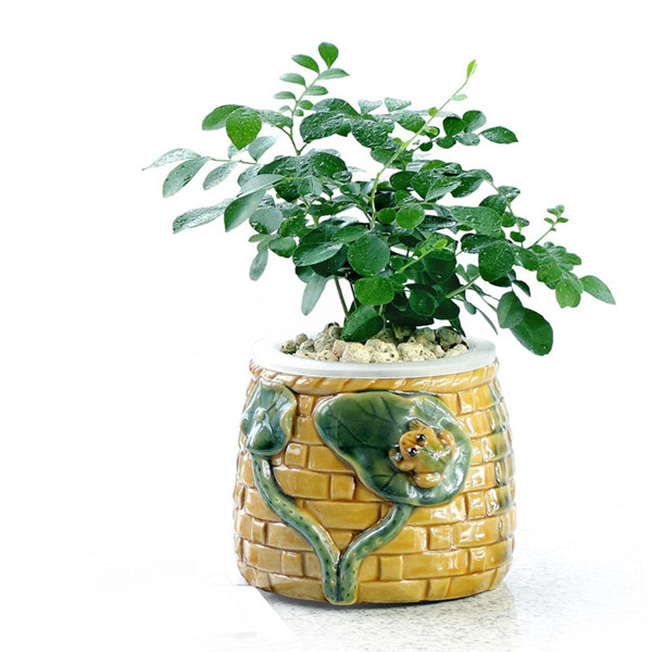 ���������ˮ���� ˮ�������ķ���С����������