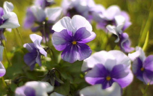 ���������ڼ�����ô�� ����������ֳ������ѧ������