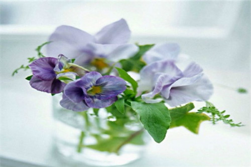 �������ж���ɲ����������� ������������ע����������Щ