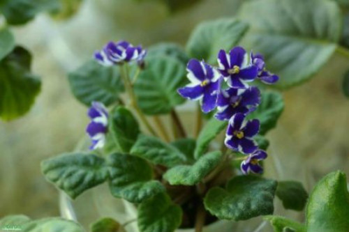 �������ж���ɲ����������� ������������ע����������Щ