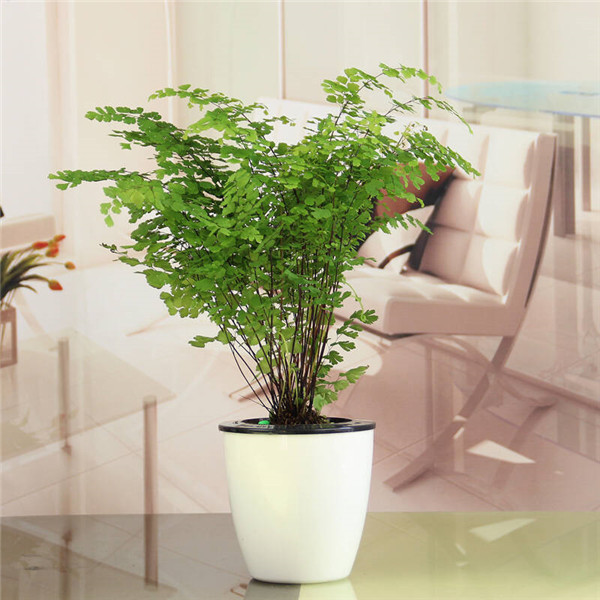 ����ާҶ�ӷ�����ô�� ����ާҶ��ԭ�򼰽���취������