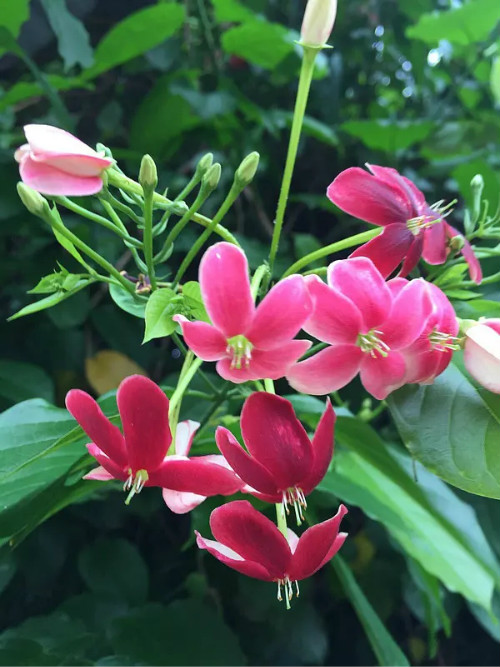 ʹ���ӻ��ж�����������������ֳʹ����ʱҪע����Щ