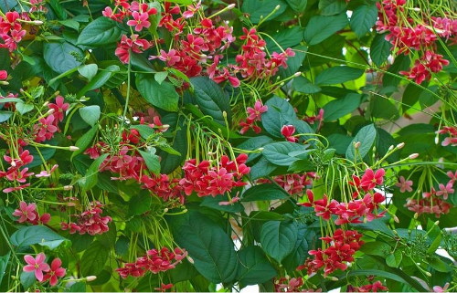 ʹ���ӻ��ж�����������������ֳʹ����ʱҪע����Щ