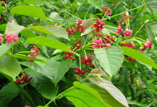 ʹ���ӻ��ж�����������������ֳʹ����ʱҪע����Щ