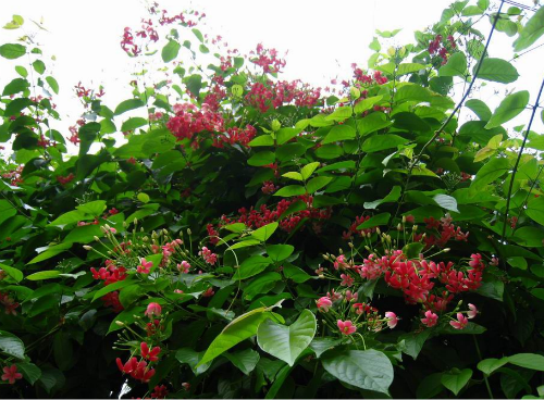 ʹ���ӻ��ж�����������������ֳʹ����ʱҪע����Щ