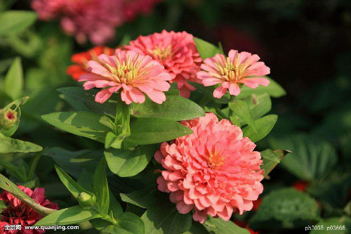 ���վ��ж����ʺ��������� �������վ���Ҫע����������Ŷ