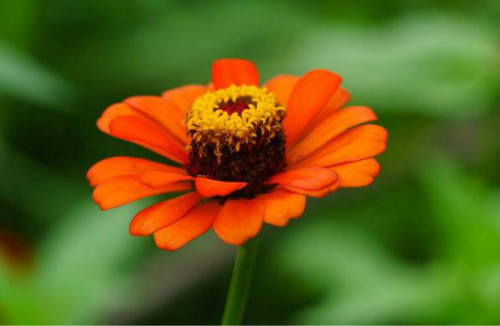 ���վ��ж����ʺ��������� �������վ���Ҫע����������Ŷ