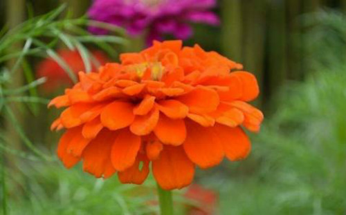 ���վ��ж����ʺ��������� �������վ���Ҫע����������Ŷ