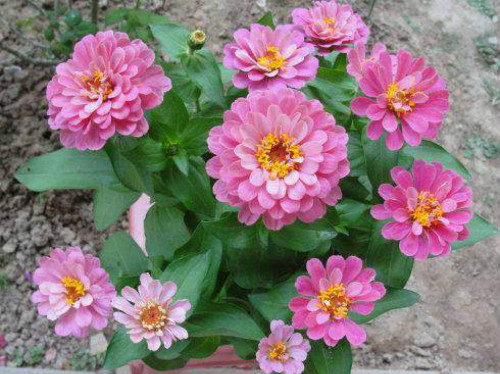 ���վ��ж����ʺ��������� �������վ���Ҫע����������Ŷ