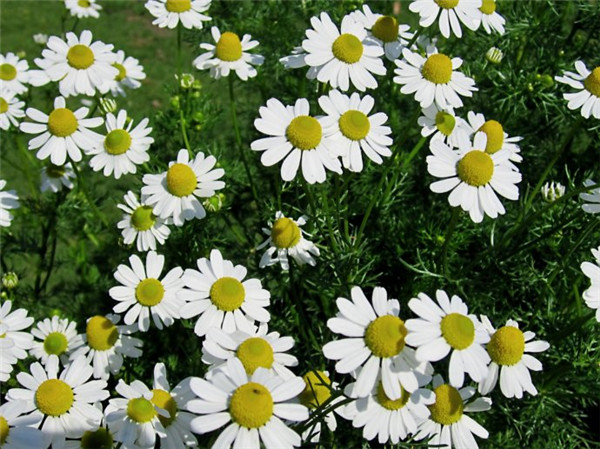 �׾�����ô������������ ��Щ��������������ؼ�