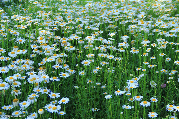 �׾�����ô������������ ��Щ��������������ؼ�