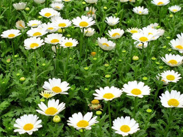 �׾�����ô������������ ��Щ��������������ؼ�