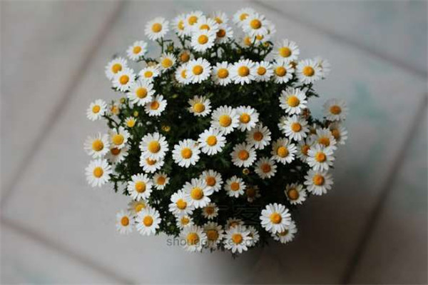 �׾�����ô������������ ��Щ��������������ؼ�