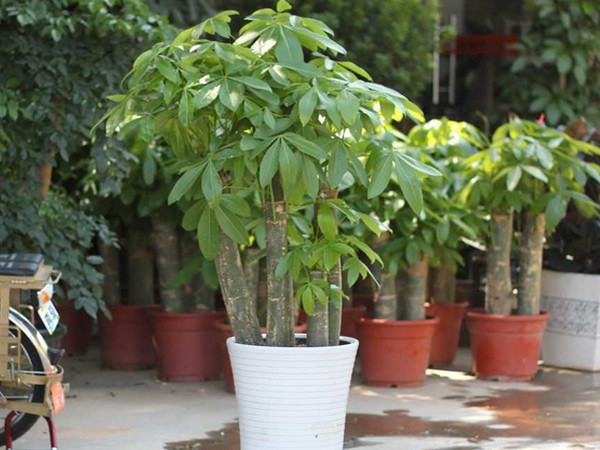 �������ø���ô�� ���������оͿ������ɽ��