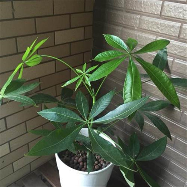 �������ø���ô�� ���������оͿ������ɽ��