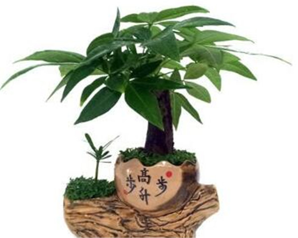 ���������ɱ�����ô�� ѧ�����������ǾͿ������ɽ��