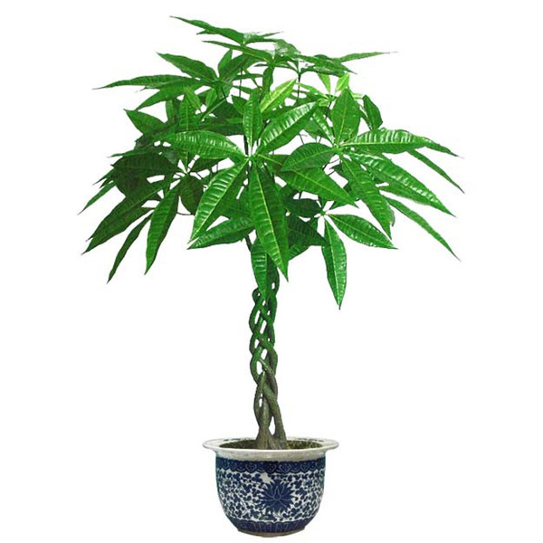 ���������ɱ�����ô�� ѧ�����������ǾͿ������ɽ��