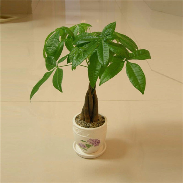 ���������ɱ�����ô�� ѧ�����������ǾͿ������ɽ��