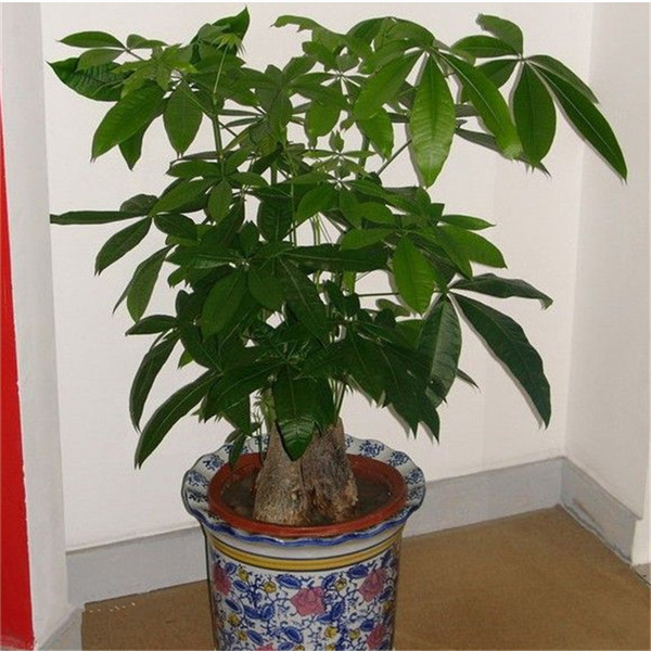 ���������ɱ�����ô�� ѧ�����������ǾͿ������ɽ��