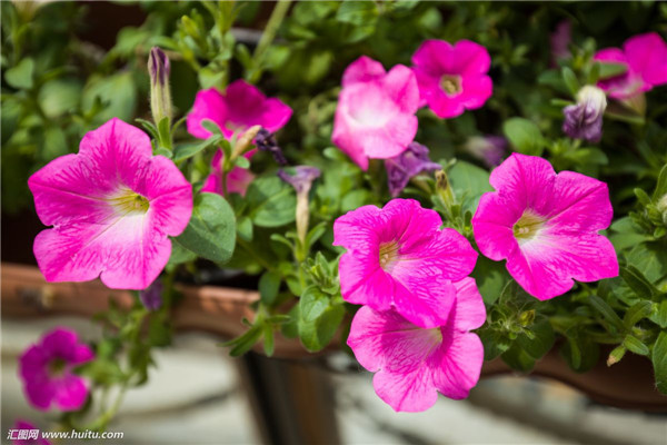 ��ǣţ���ʩ�� ������ʩ���ǰ�ǣţ����ȷ��ʩ�ʷ���Ŷ