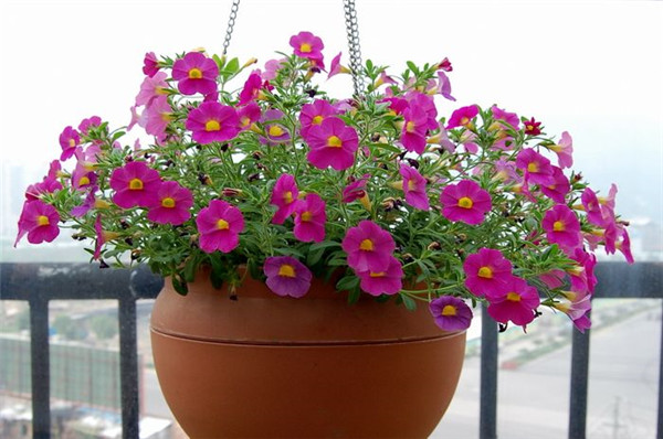 ��ǣţ���ʩ�� ������ʩ���ǰ�ǣţ����ȷ��ʩ�ʷ���Ŷ